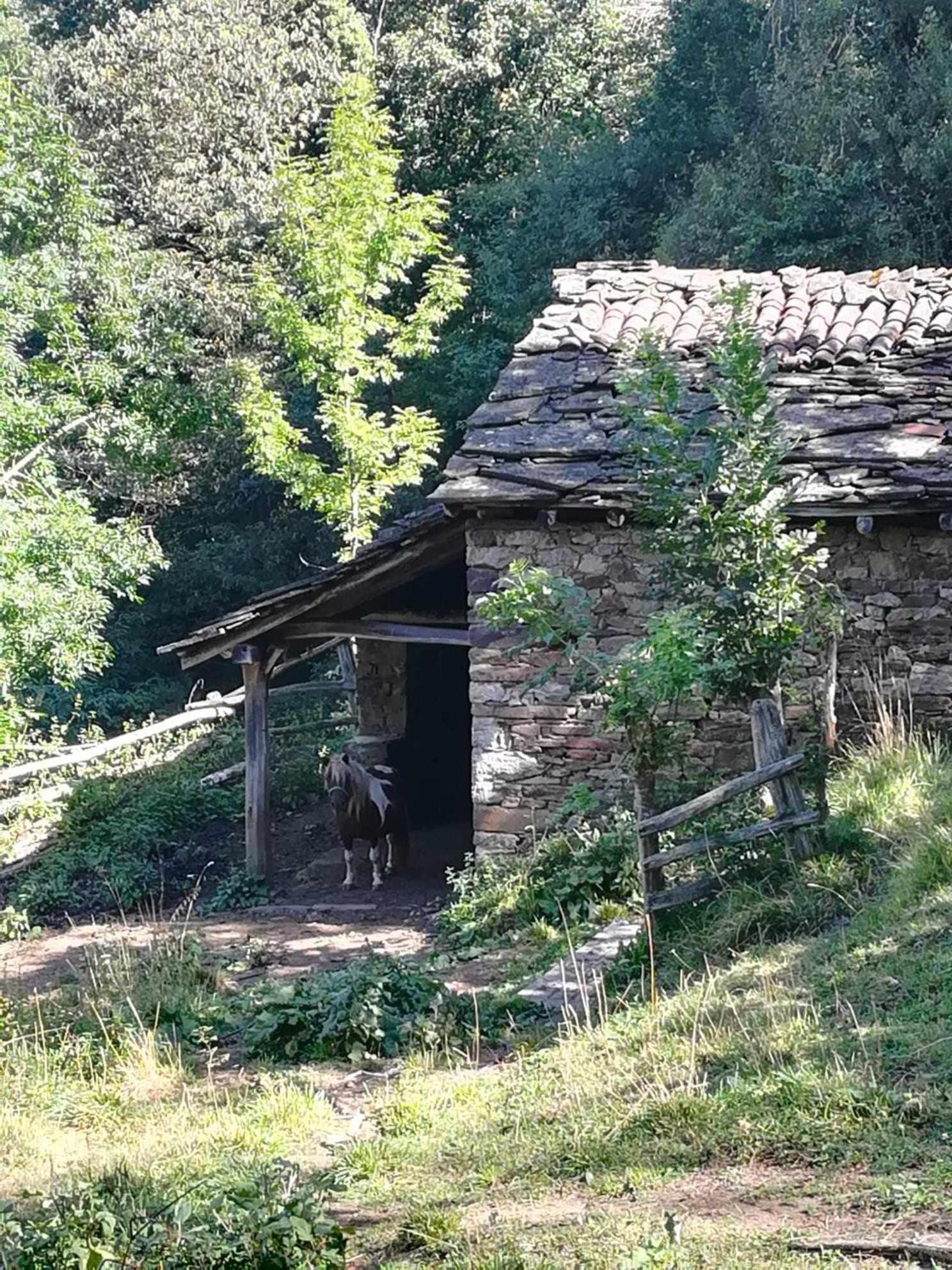 Encanto Asturiano Aller Bagian luar foto