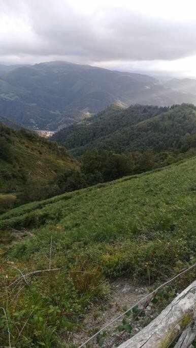 Encanto Asturiano Aller Bagian luar foto