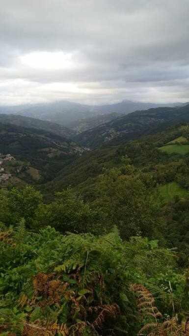 Encanto Asturiano Aller Bagian luar foto