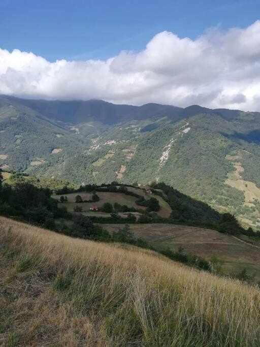 Encanto Asturiano Aller Bagian luar foto
